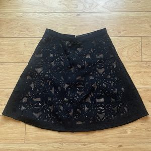Ann Taylor Lace Skirt